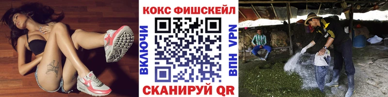 Кокаин Эквадор Светлогорск