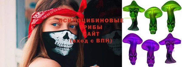 молекула духа Каменка
