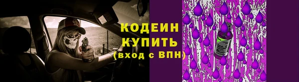 молекула духа Каменка