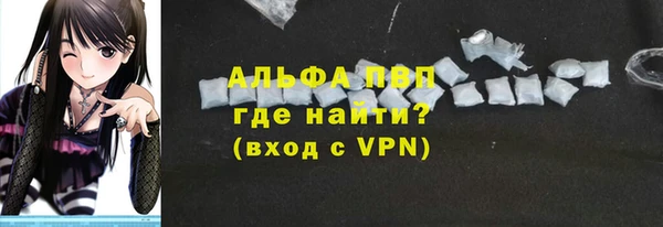 молекула духа Каменка