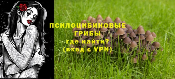 крисы Зерноград