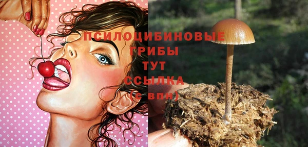 крисы Зерноград