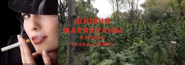 крисы Зерноград
