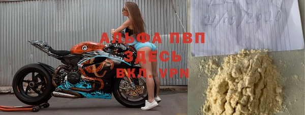 молекула духа Каменка