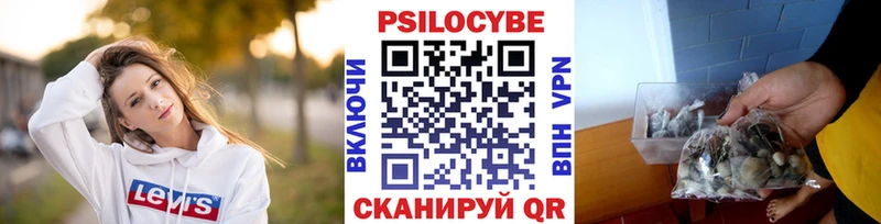 Псилоцибиновые грибы Magic Shrooms ОМГ ОМГ зеркало Светлогорск купить закладку