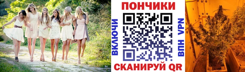 Канабис план даркнет сайт Светлогорск